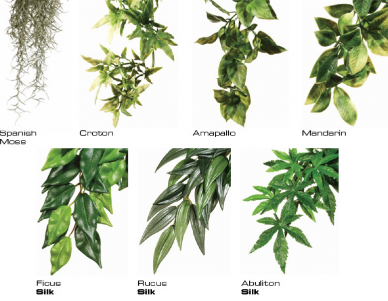 Preview: Exo Terra Rainforest Hanging Plants Ficus